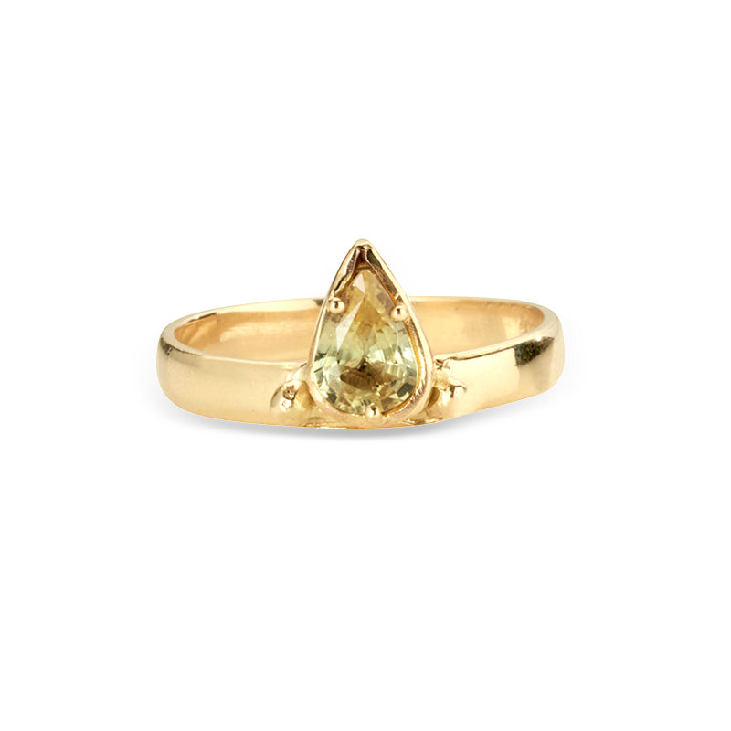 Bennu Ring - Solid Gold