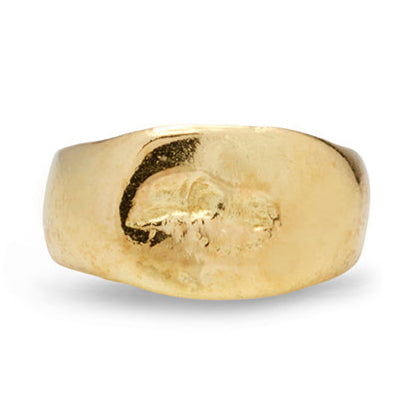 Amyclides Signet Ring - Solid Gold