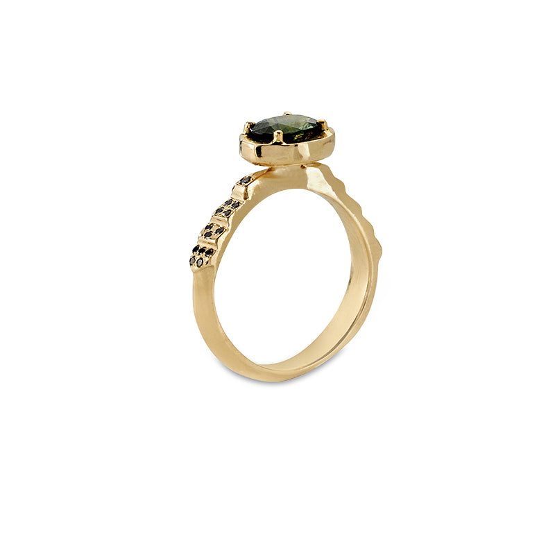 Charlemagne Ring - Solid Gold